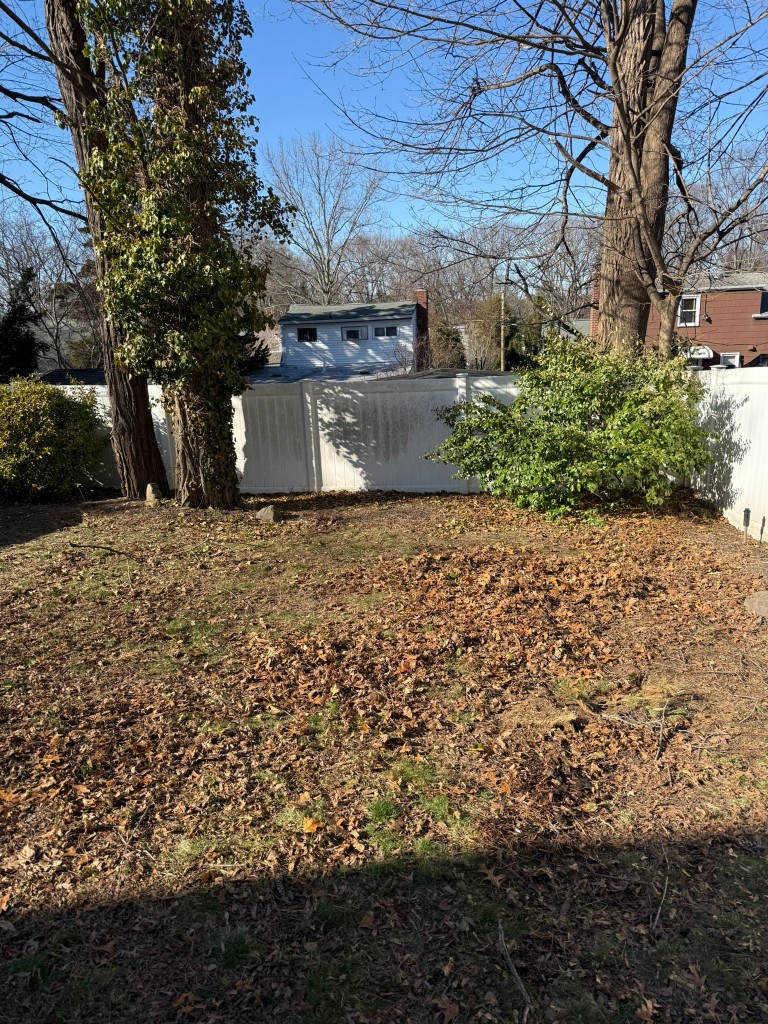 Backyard after playset removal